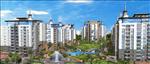 Vrinda City, Apartment at Sector-36, Noida